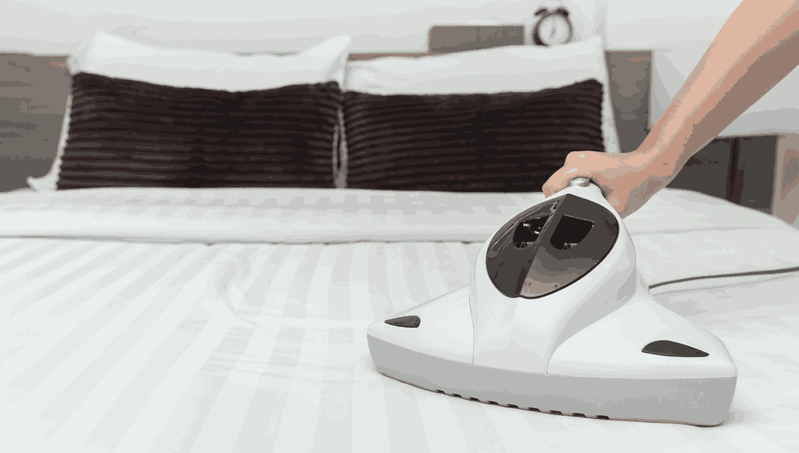 Professional Mattress Cleaning Braybrook
